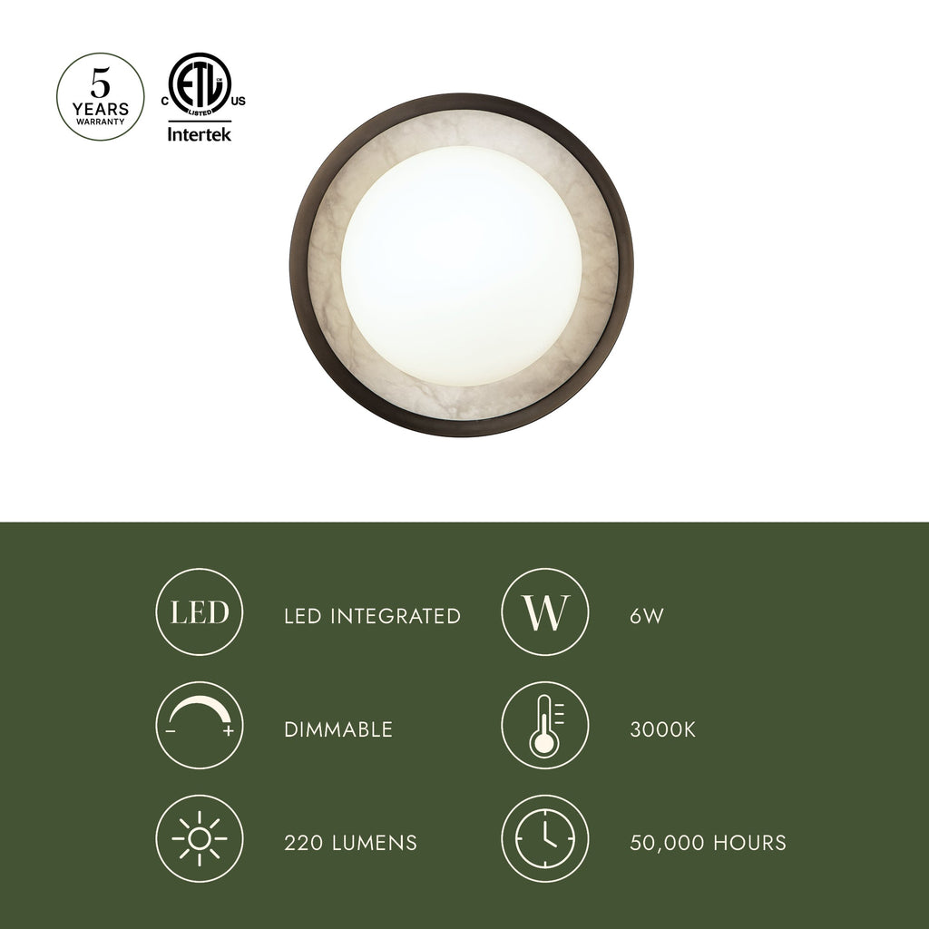 Alonso 8-in Wall/Vanity Light
