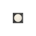 Amelia 6-in Exterior Wall Sconce — Black