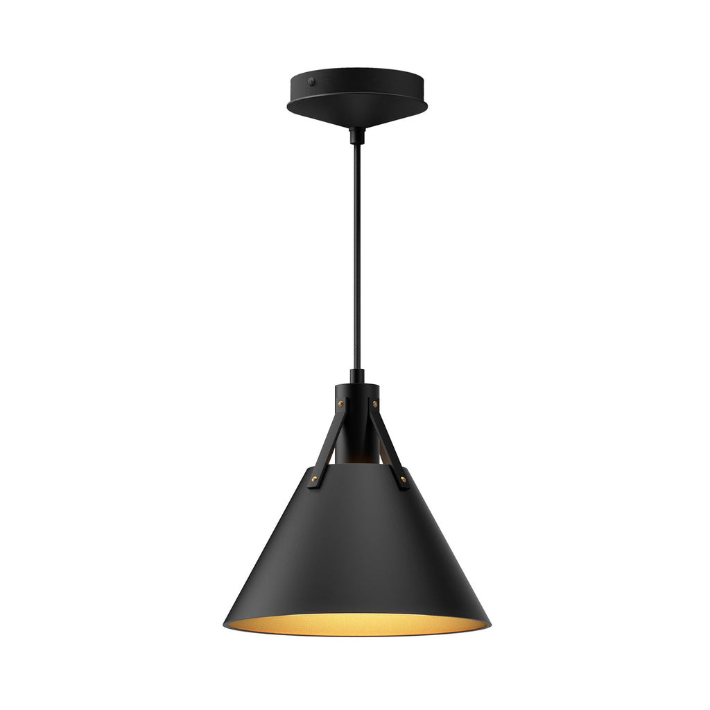Archer 10-in Pendant — Matte Black