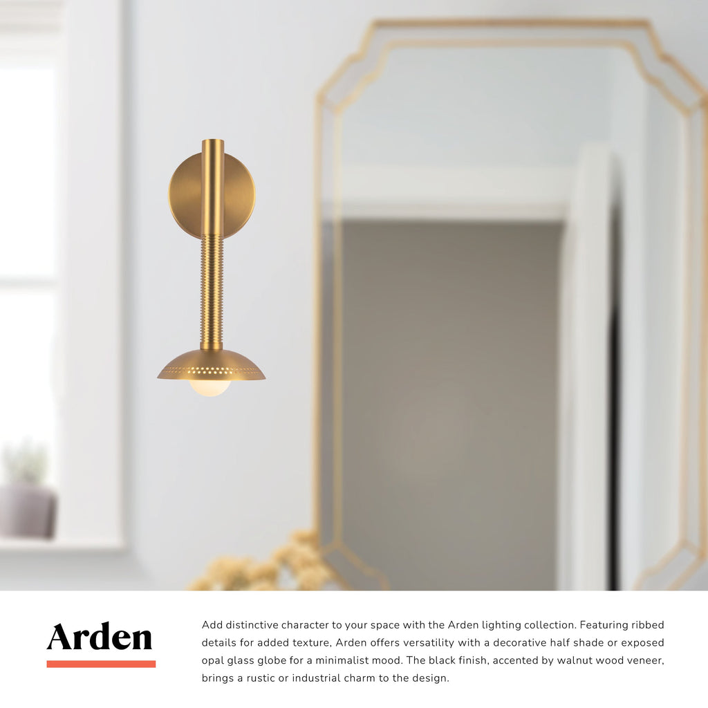 Arden 14-in (With Shade) Wall/Vanity Light