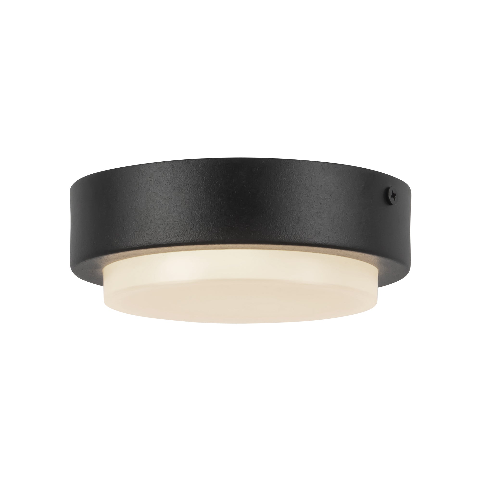 Bailey 5-in Exterior Ceiling — Black