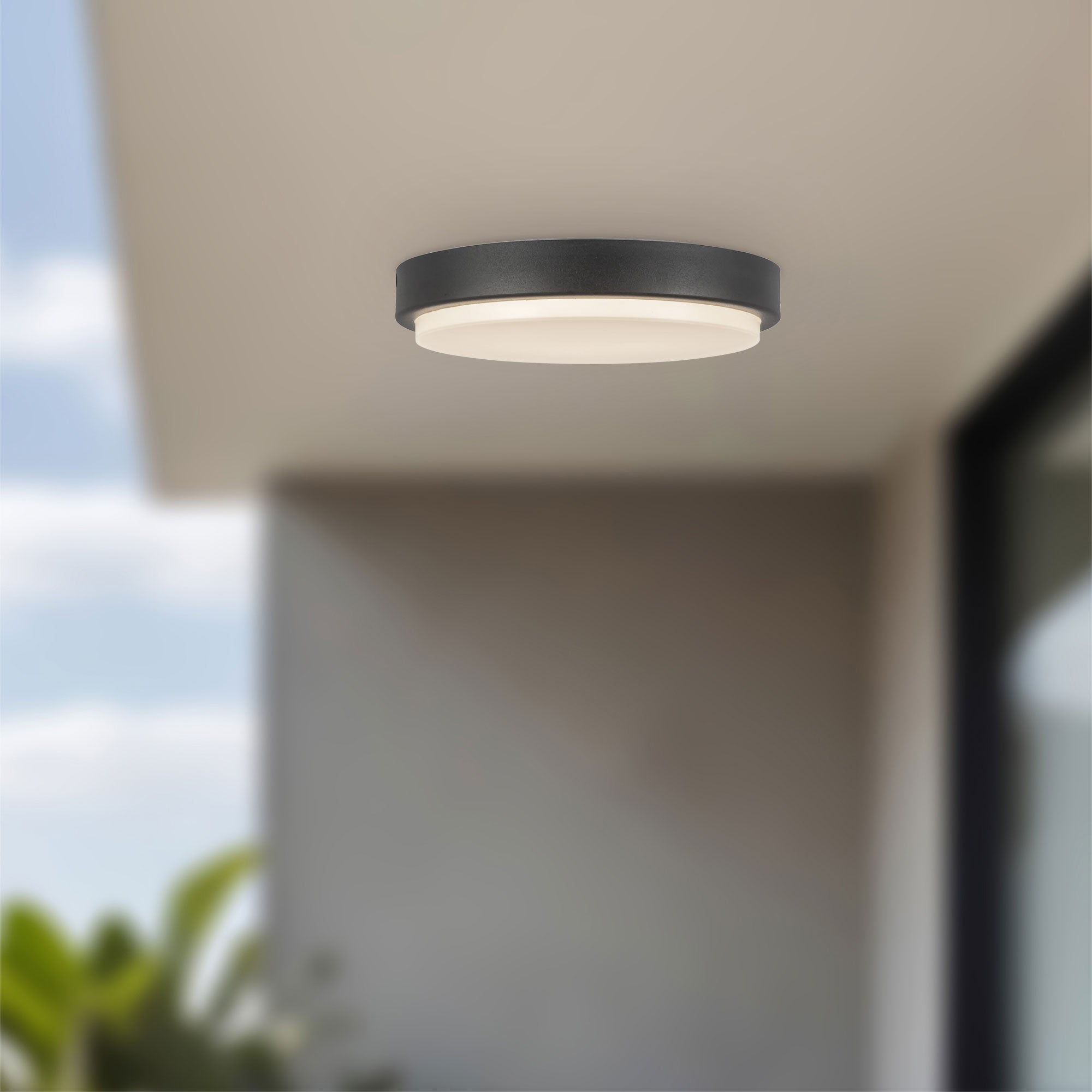 Bailey 9-in Exterior Ceiling