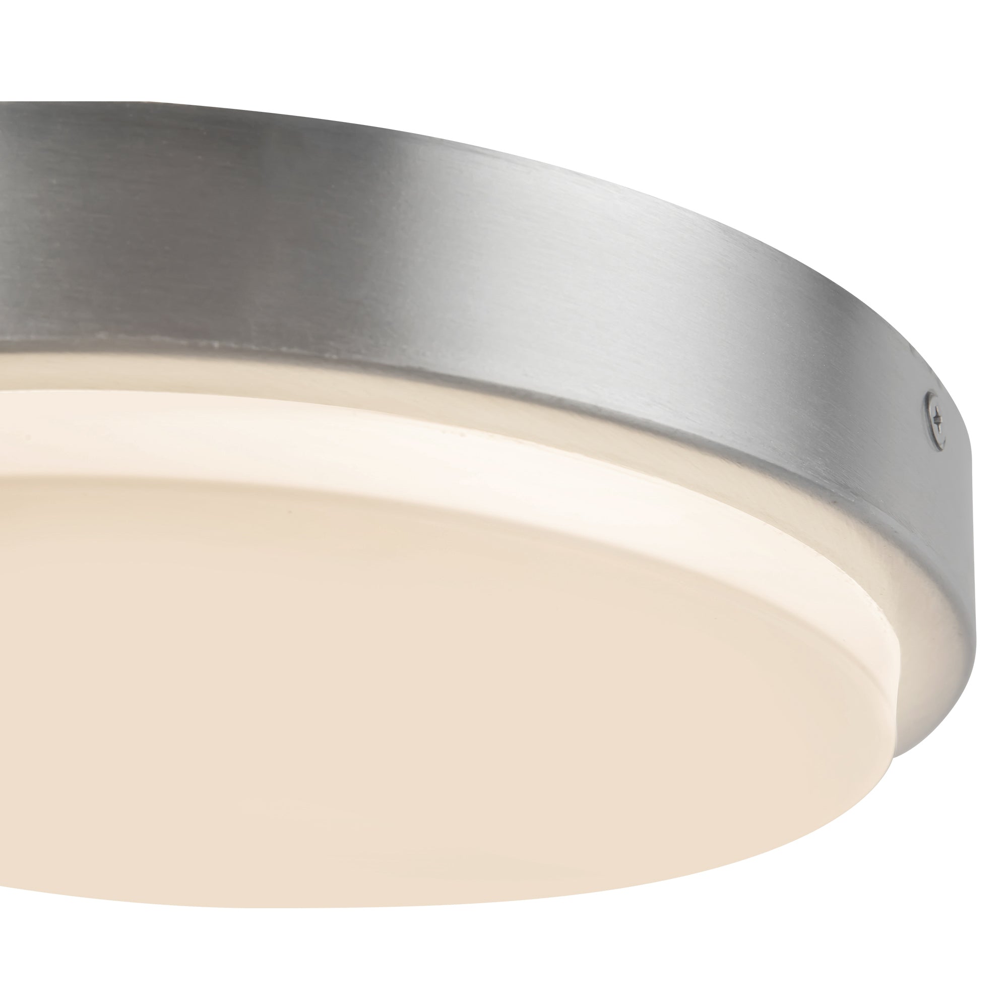 Bailey 9-in Exterior Ceiling