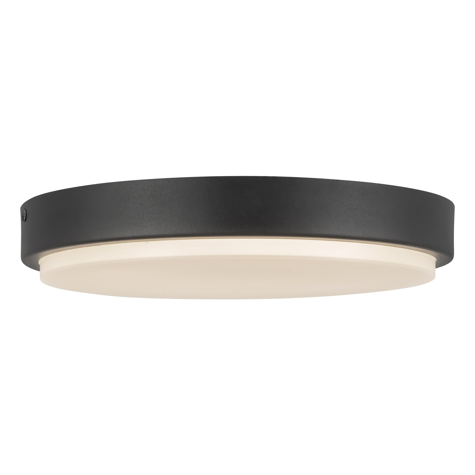 Bailey 11-in Exterior Ceiling — Black