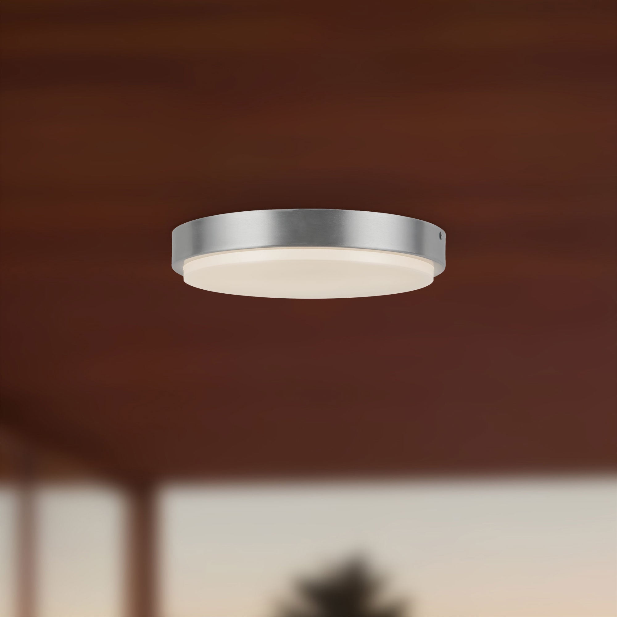 Bailey 11-in Exterior Ceiling