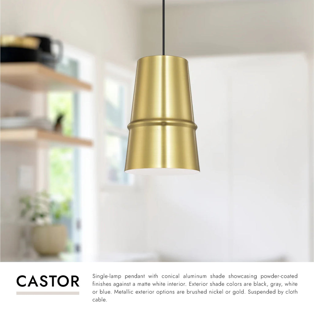 Castor 8-in Pendant