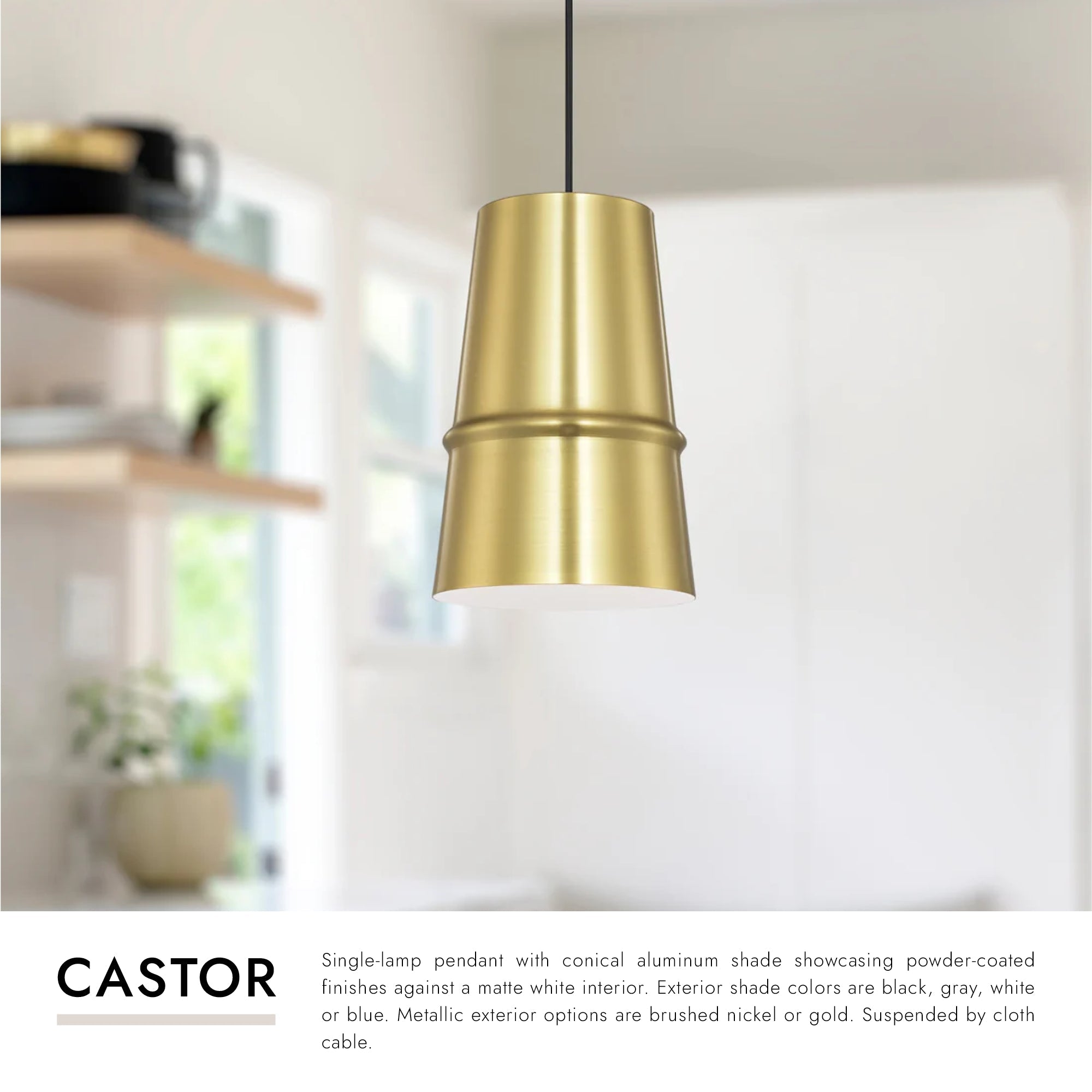 Castor 8-in Pendant