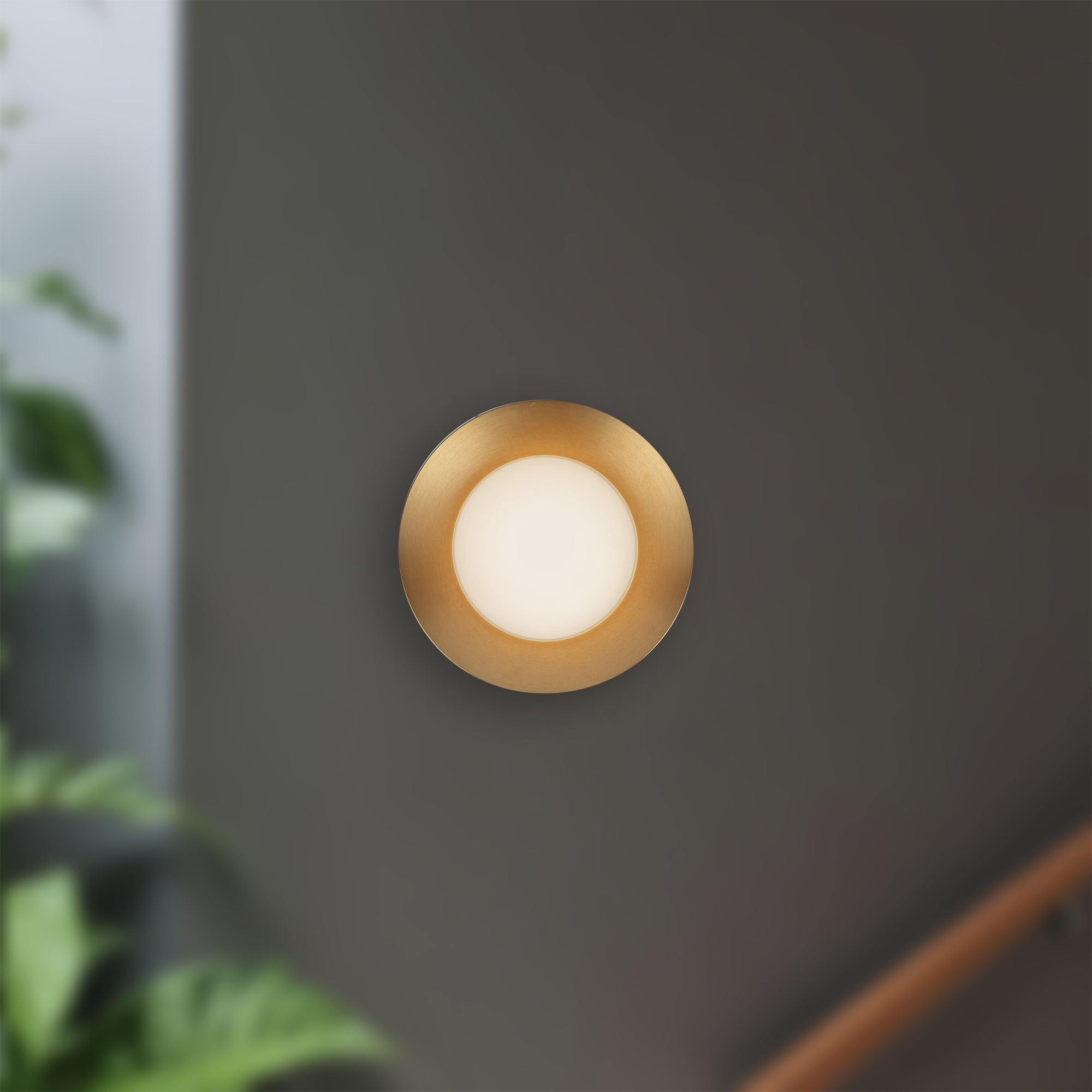 Cleo 9-inch Wall Sconce