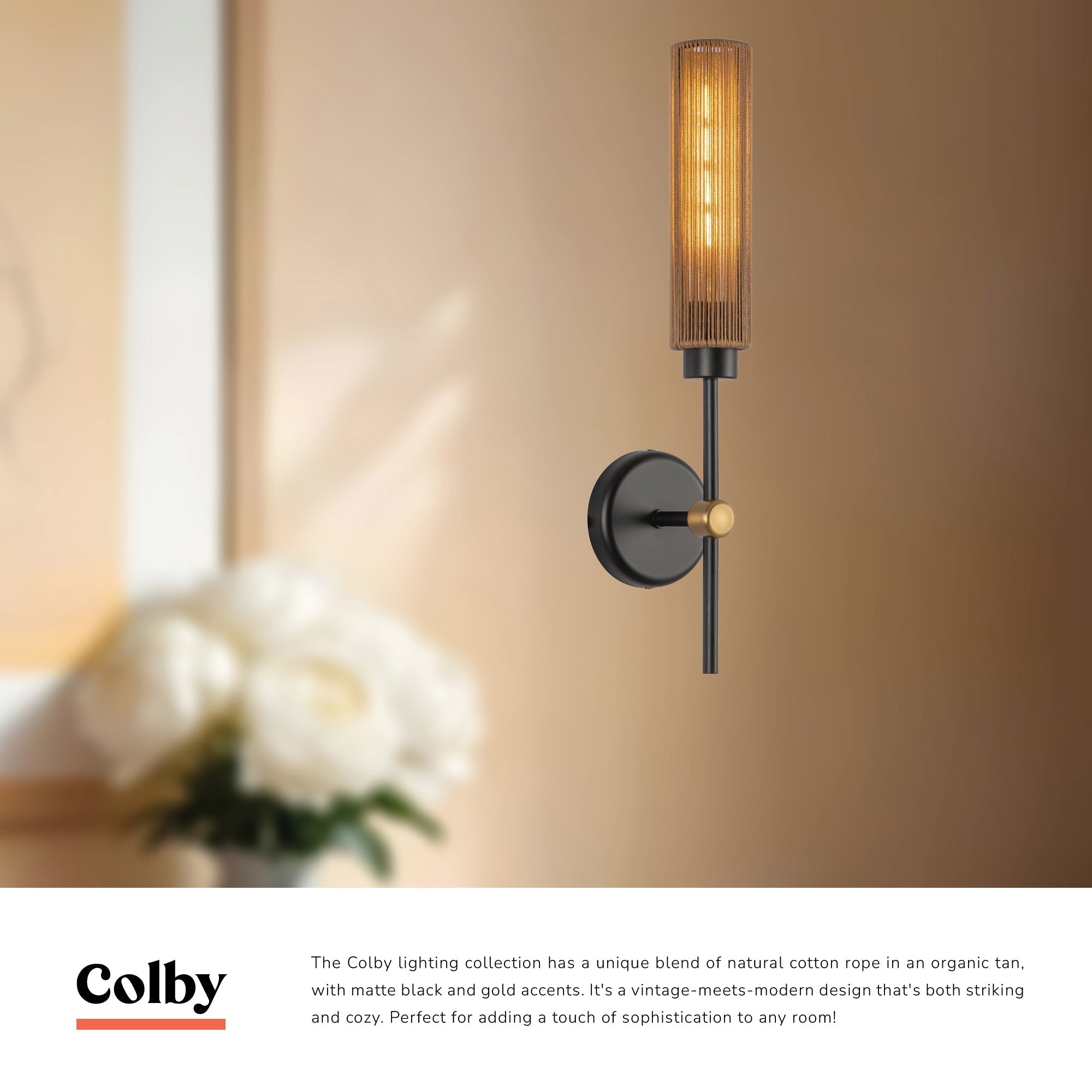 Colby 20-in Wall/Vanity Light