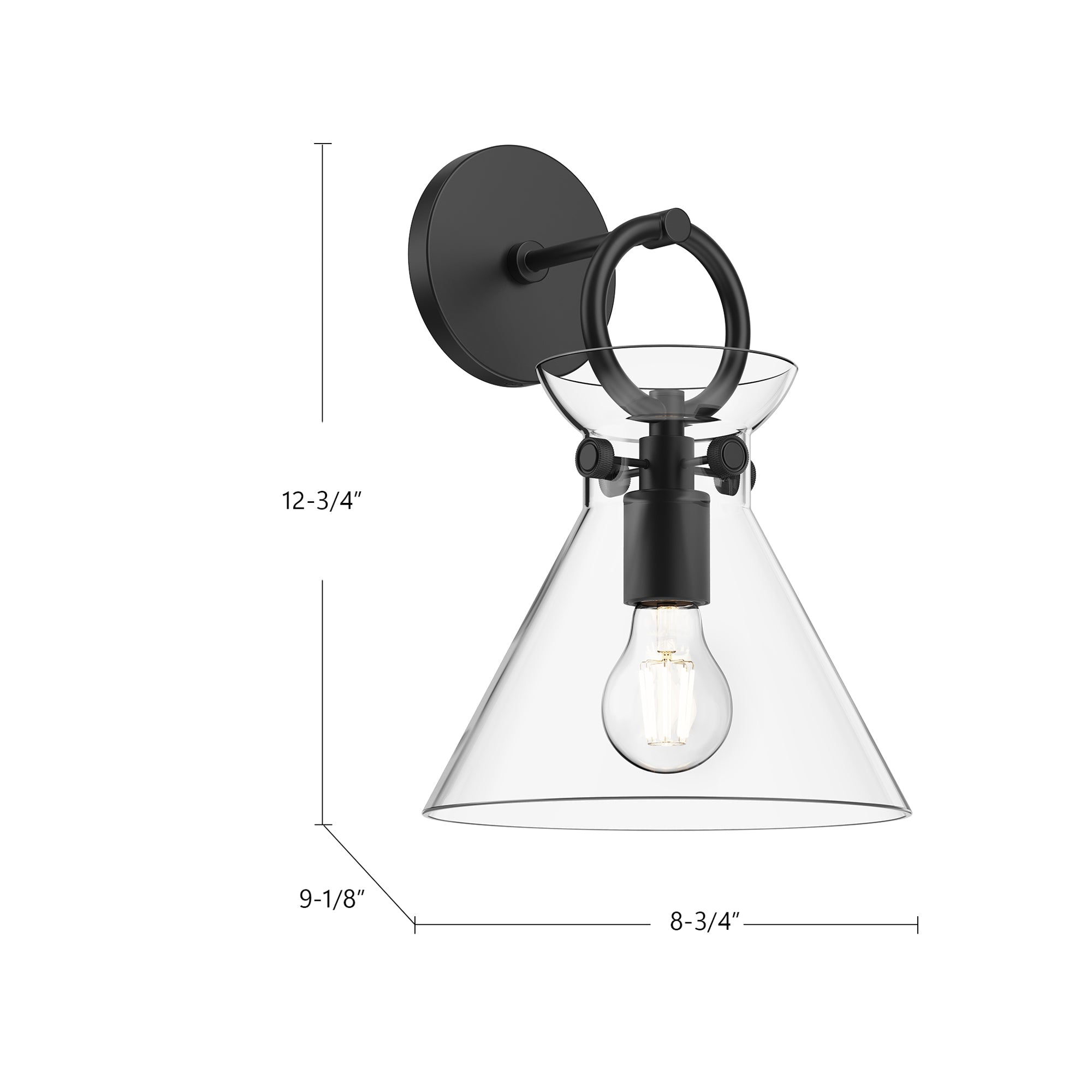 Emerson 9-in Wall/Vanity Light