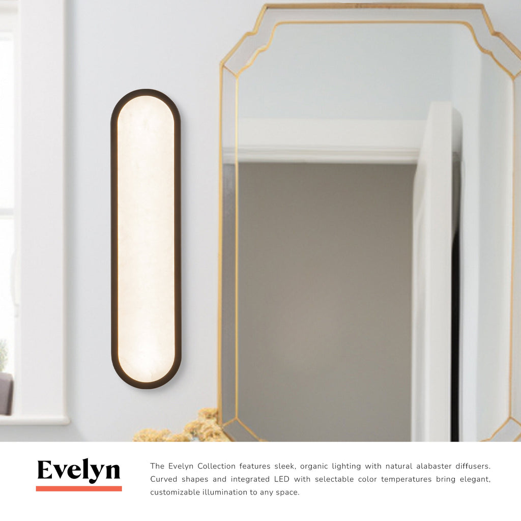 Evelyn 22-in Wall/Vanity Light