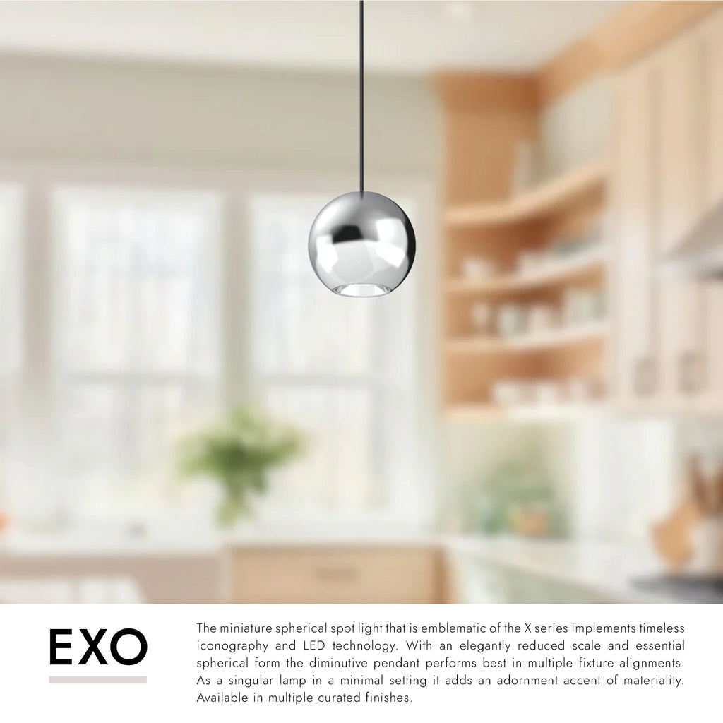 Exo 2-in Pendant