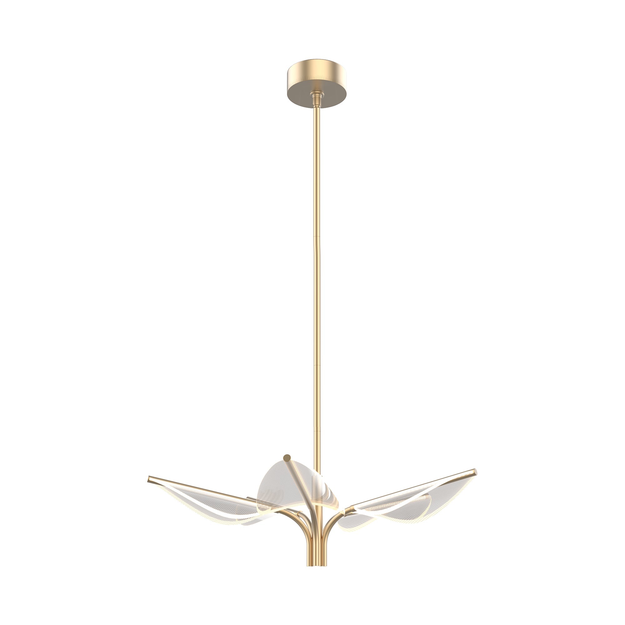 Flora 5 Head Pendant — Natural Brass