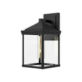 Larchmont 9-in Exterior Wall Sconce — Clear Glass/Textured Black