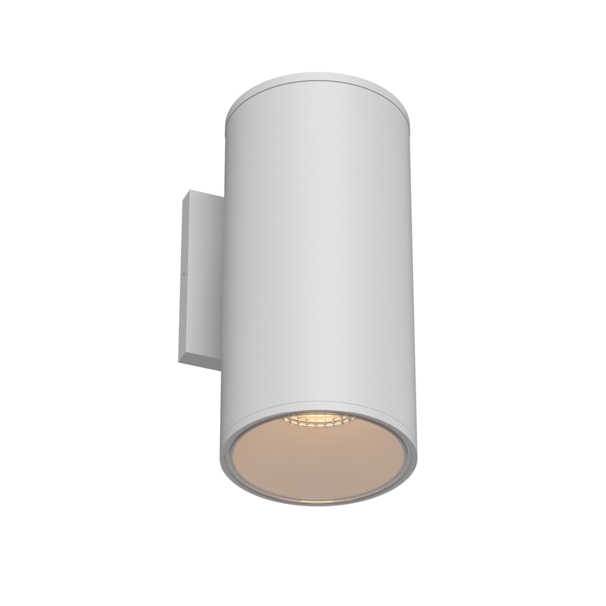 Lorna 12-in (4-in Dia.) Exterior Wall Sconce Up/Down Light — White [Universal Voltage and 0-10 Dimming]