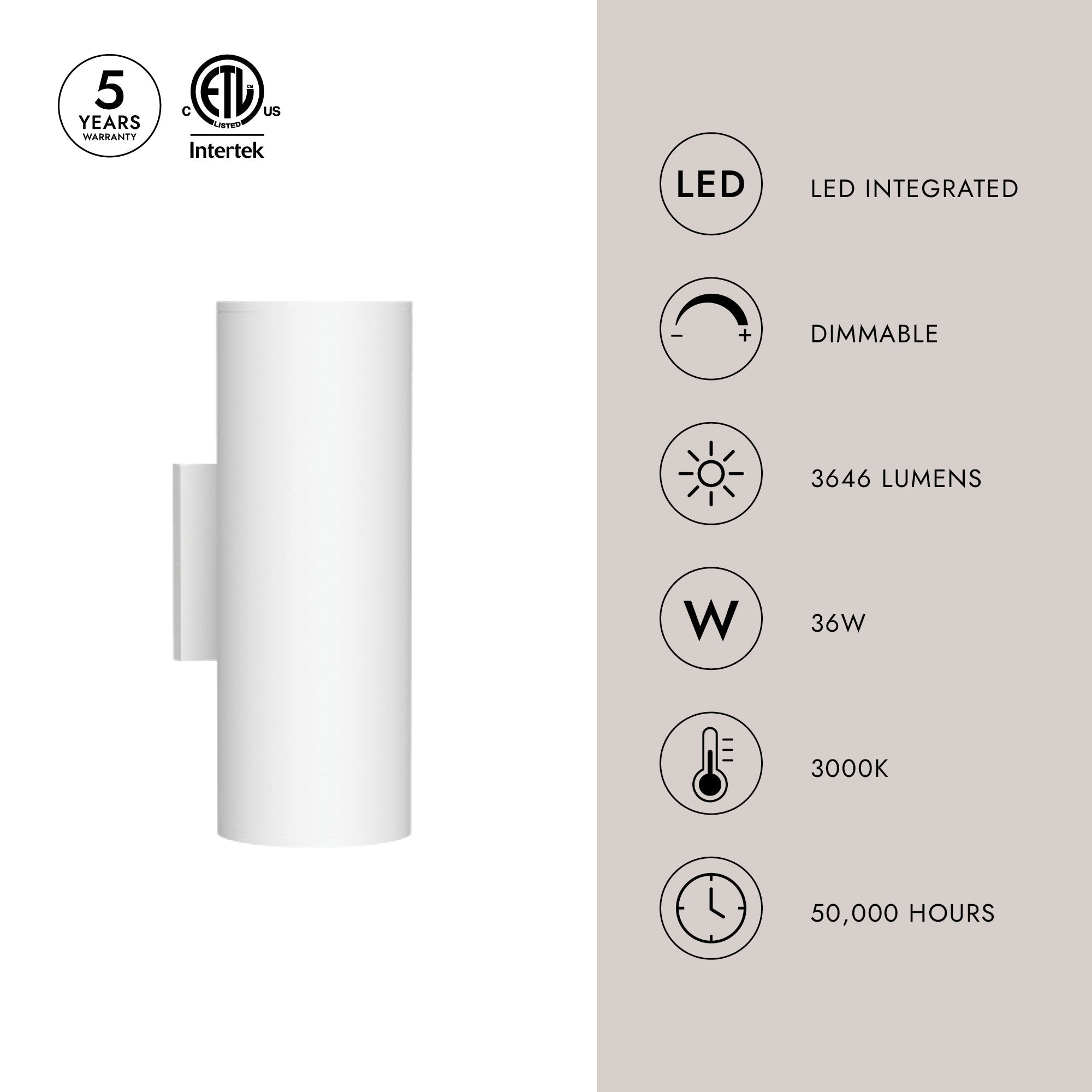 Lorna 12-in (4-in Dia.) Wall Sconce Up/Down Light