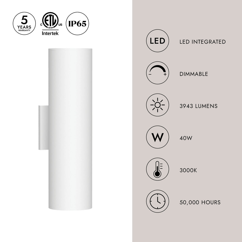 Lorna 16-in (4-in Dia.) Wall Sconce Up/Down Light