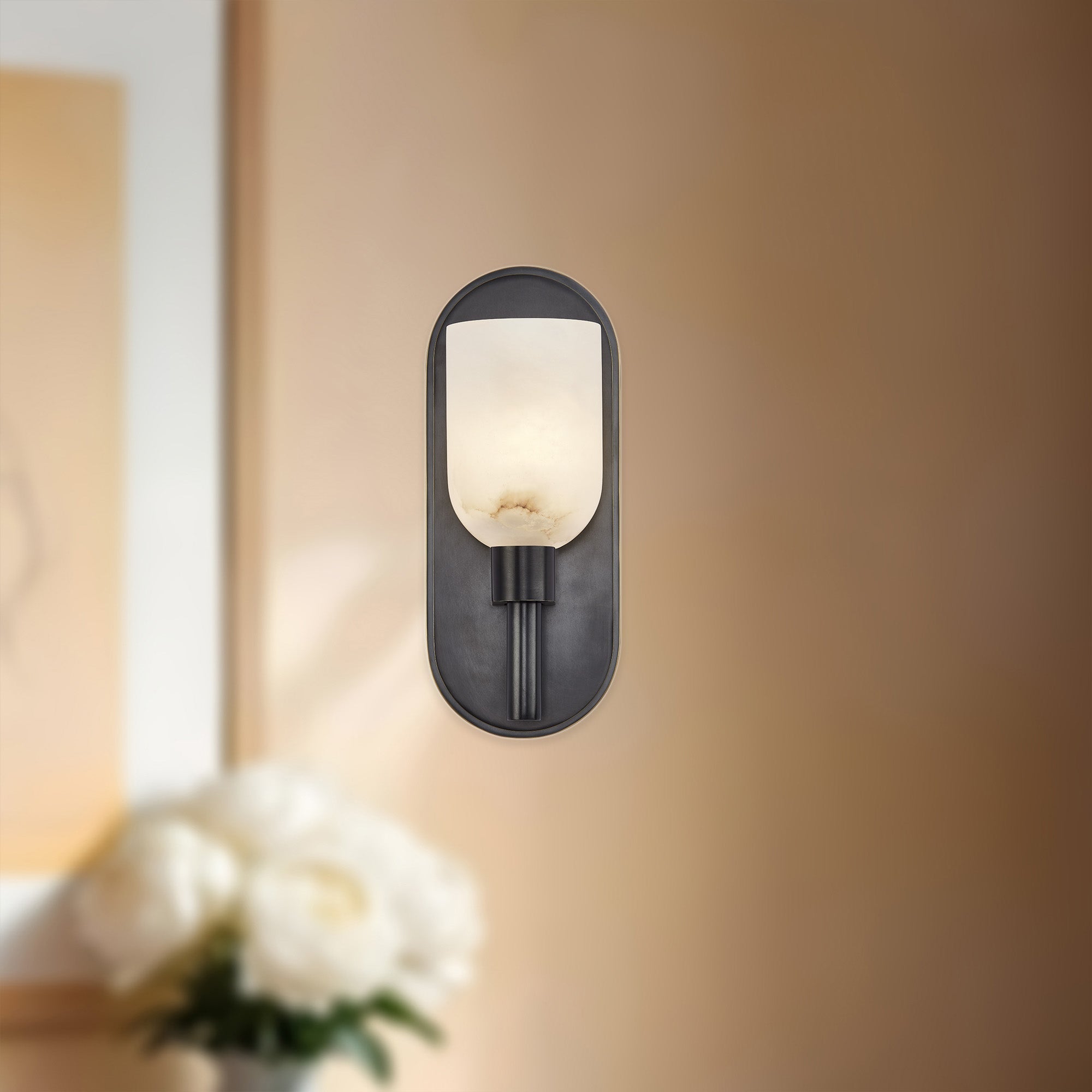 Lucian 9-in Wall/Vanity Light
