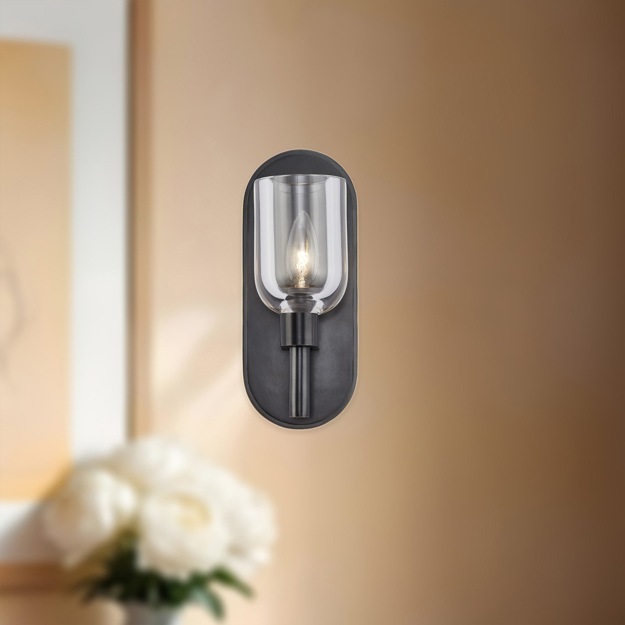 Lucian 9-in Wall/Vanity Light