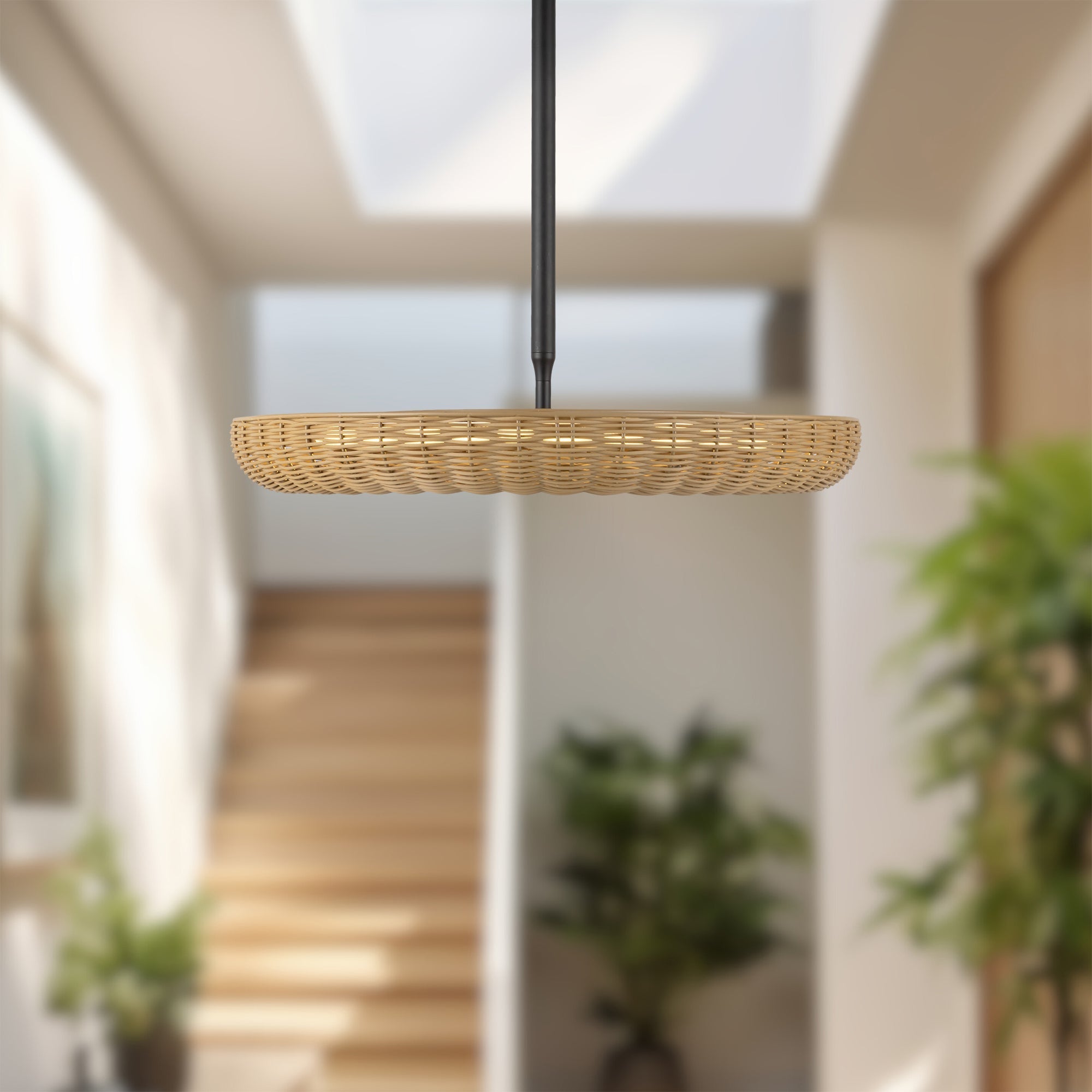 Maris 24-in Chandelier