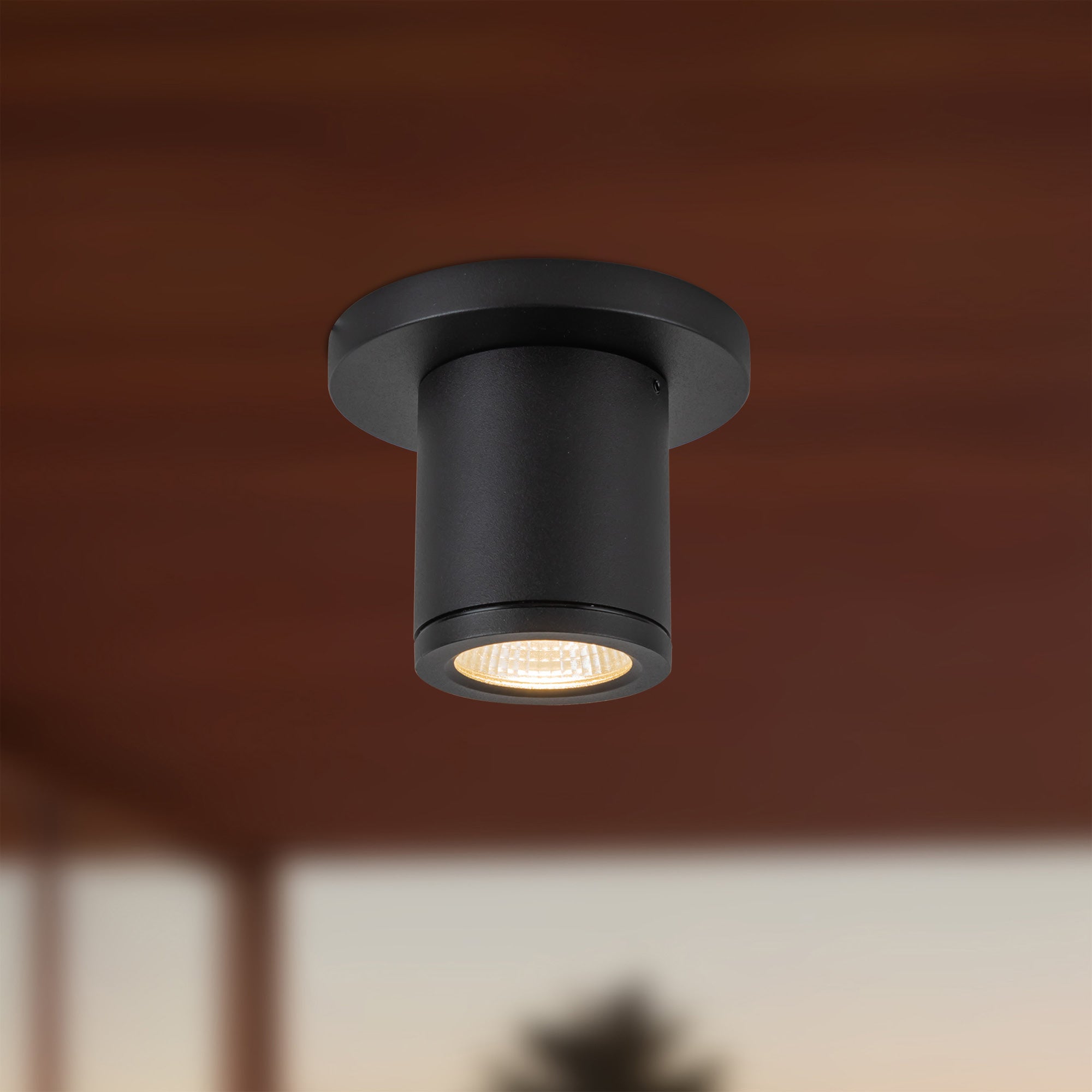 Nordic 3-in (2-in Dia.) Exterior Ceiling