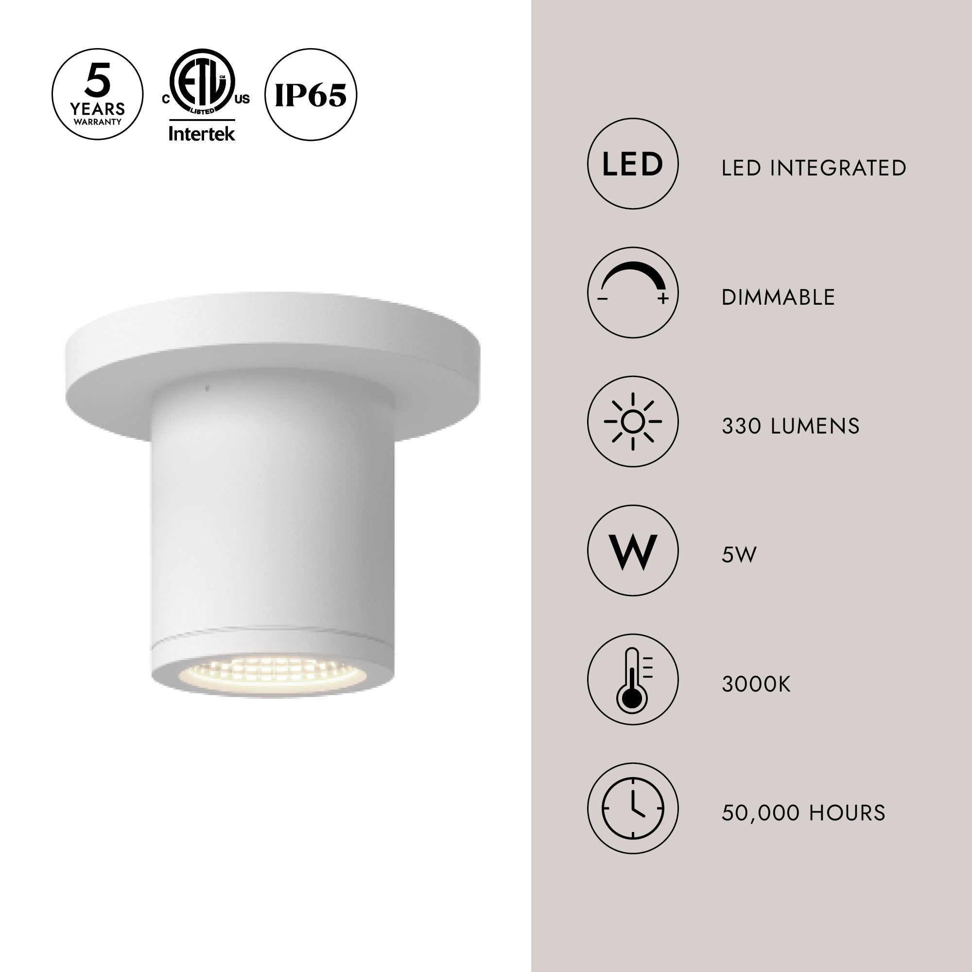 Nordic 3-in (2-in Dia.) Exterior Ceiling