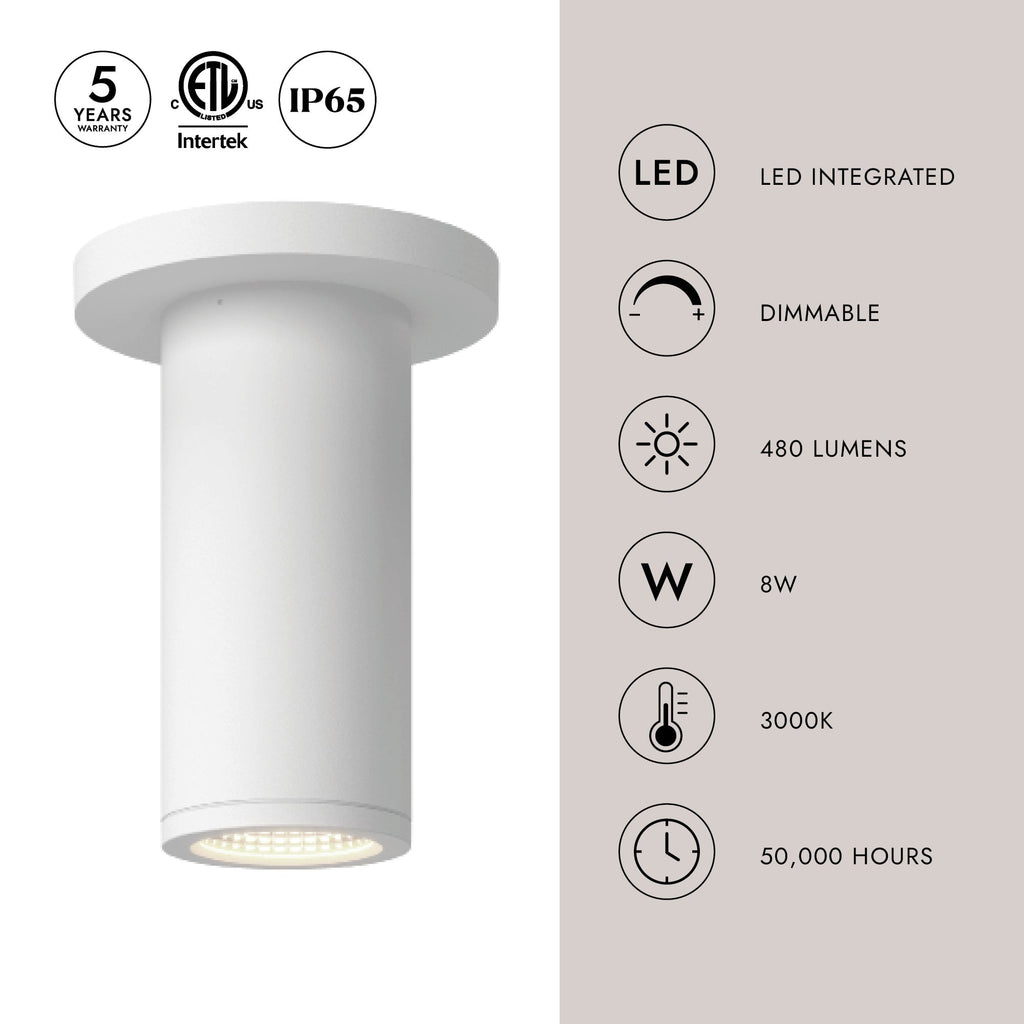Nordic 6-in (2-in Dia.) Exterior Ceiling