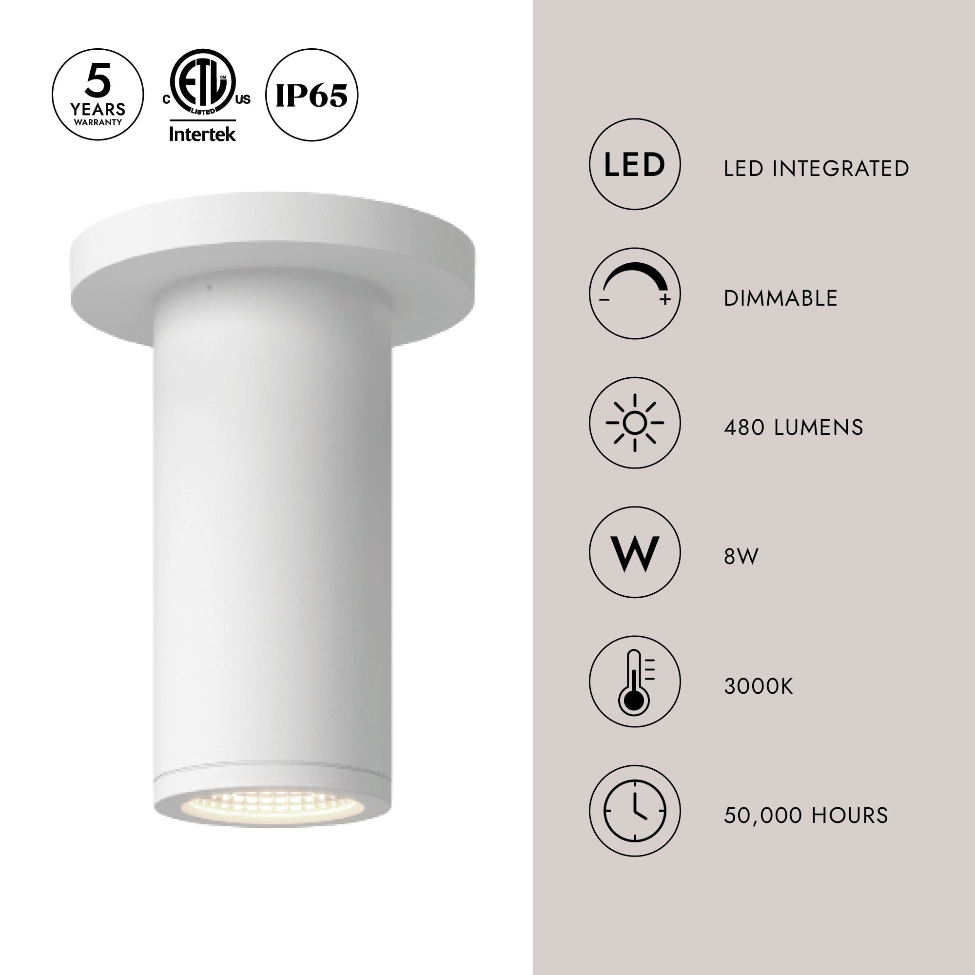 Nordic 6-in (2-in Dia.) Exterior Ceiling