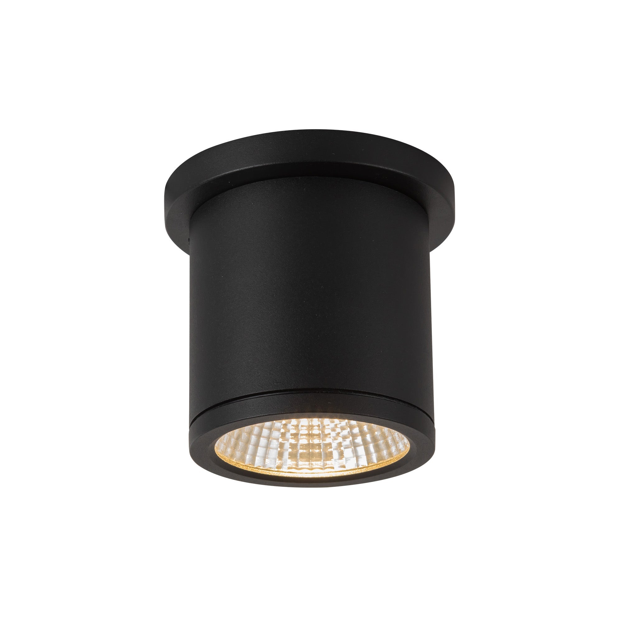 Nordic 4-in (3-in Dia.) Exterior Ceiling — Black