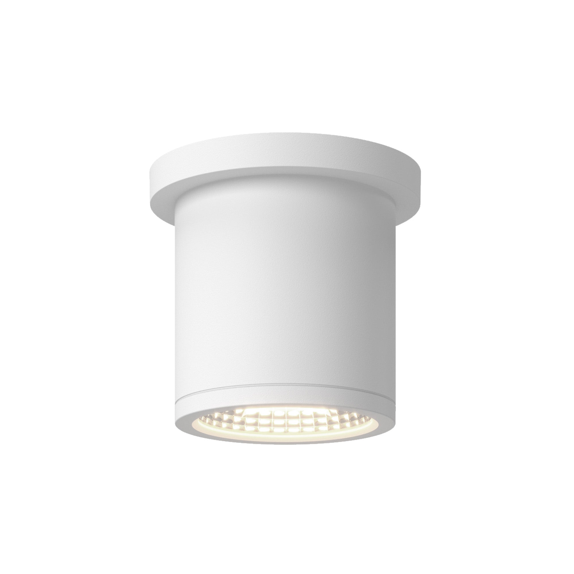 Nordic 4-in (3-in Dia.) Exterior Ceiling