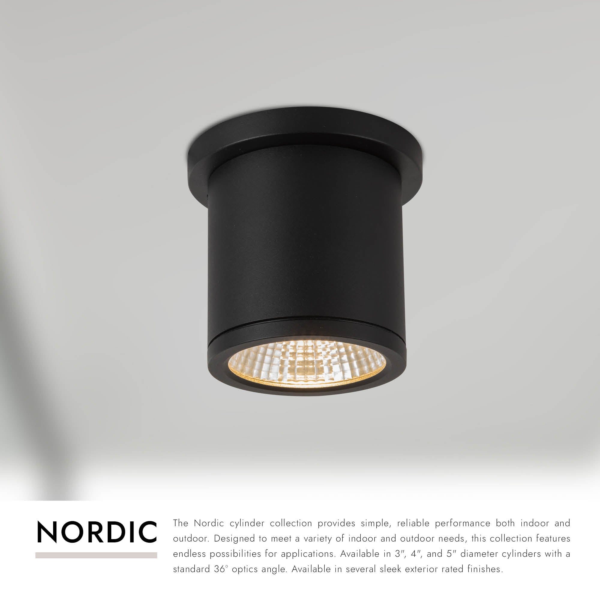 Nordic 4-in (3-in Dia.) Exterior Ceiling