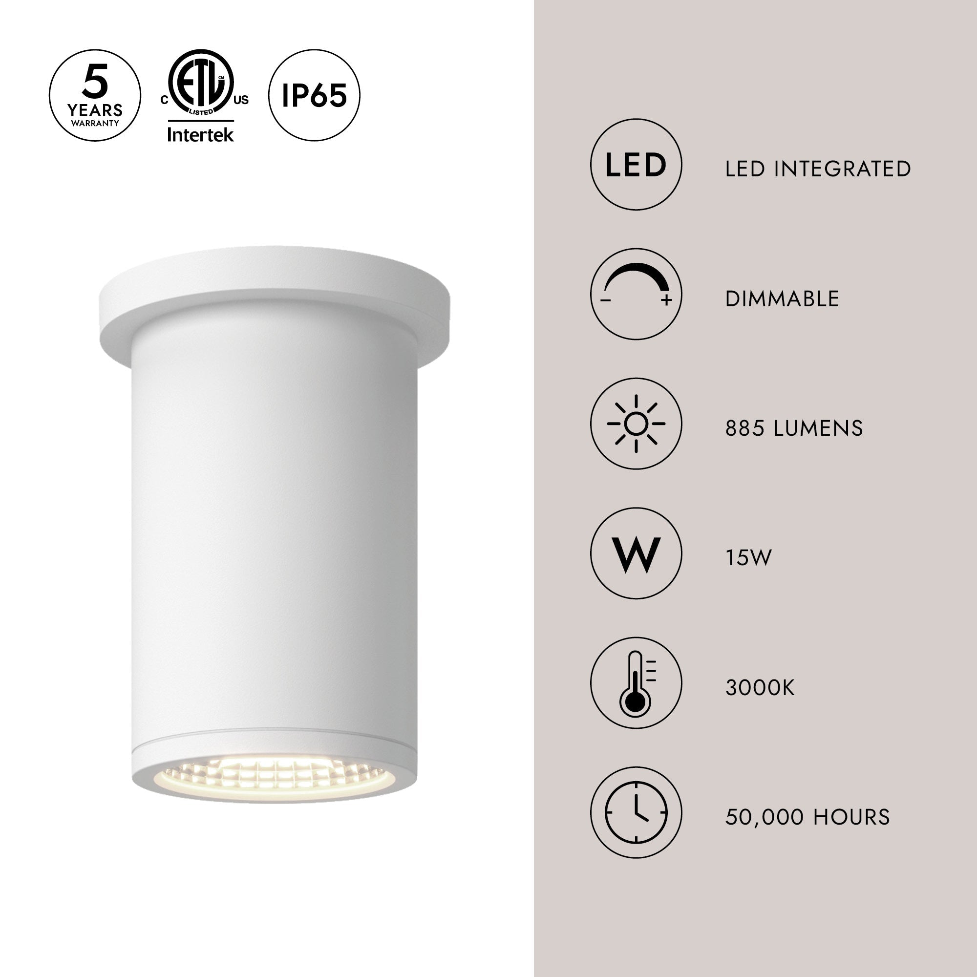 Nordic 6-inch (3-inch Dia.) Exterior Ceiling