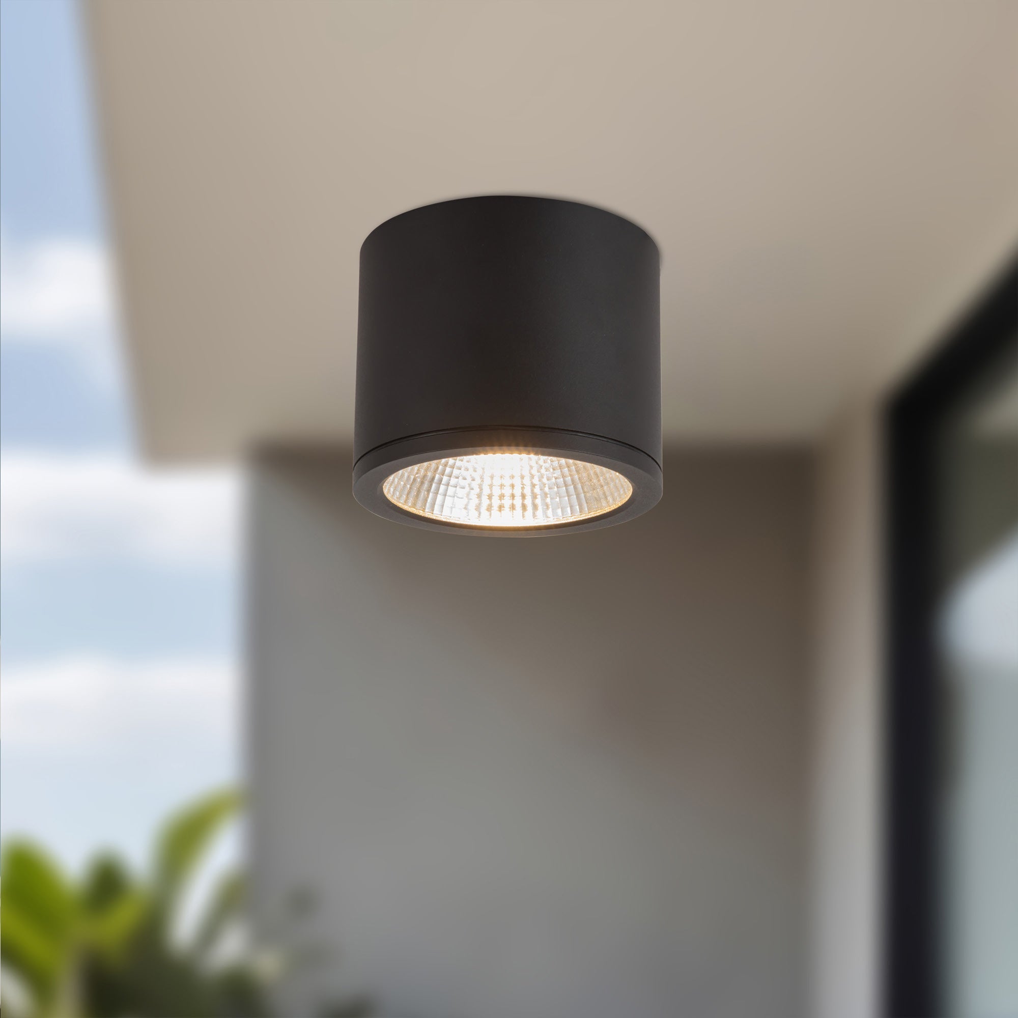 Nordic 4-in (5-in Dia.) Exterior Ceiling