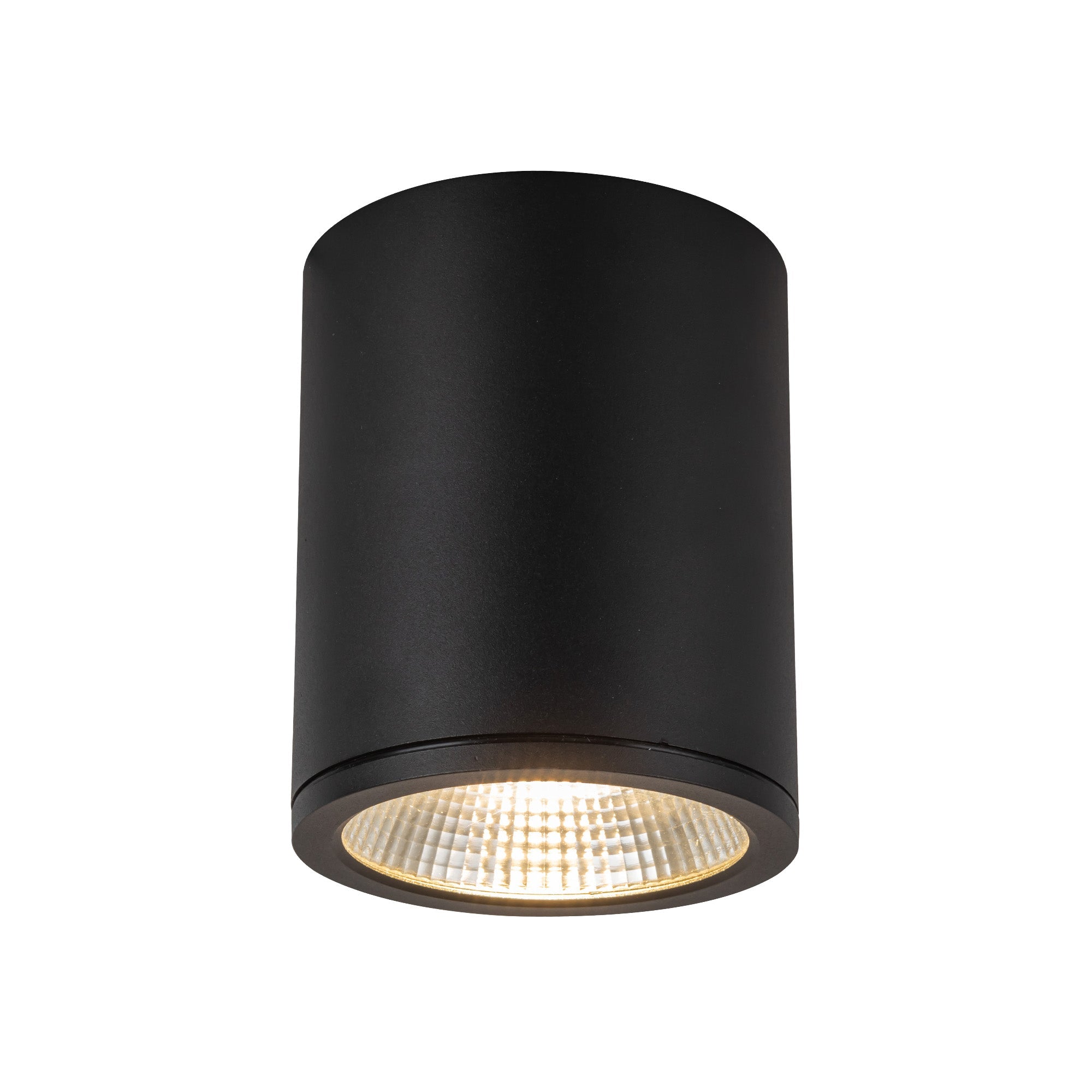 Nordic 6-in (5-in Dia.) Exterior Ceiling — Black