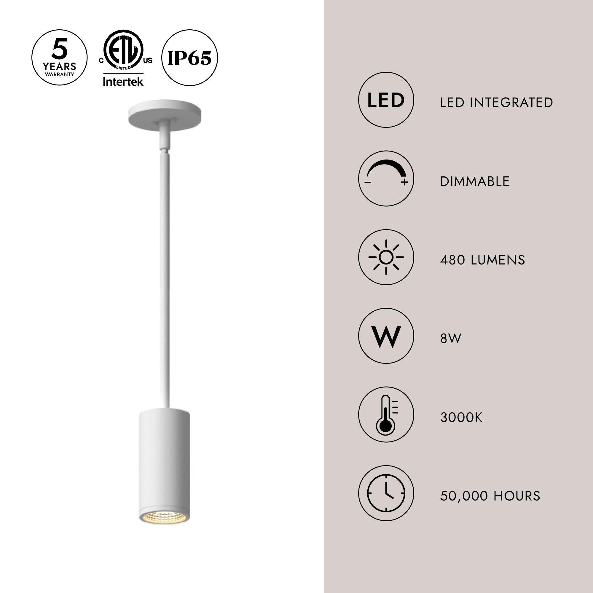 Nordic 5-in (2-in Dia.) Exterior Pendant