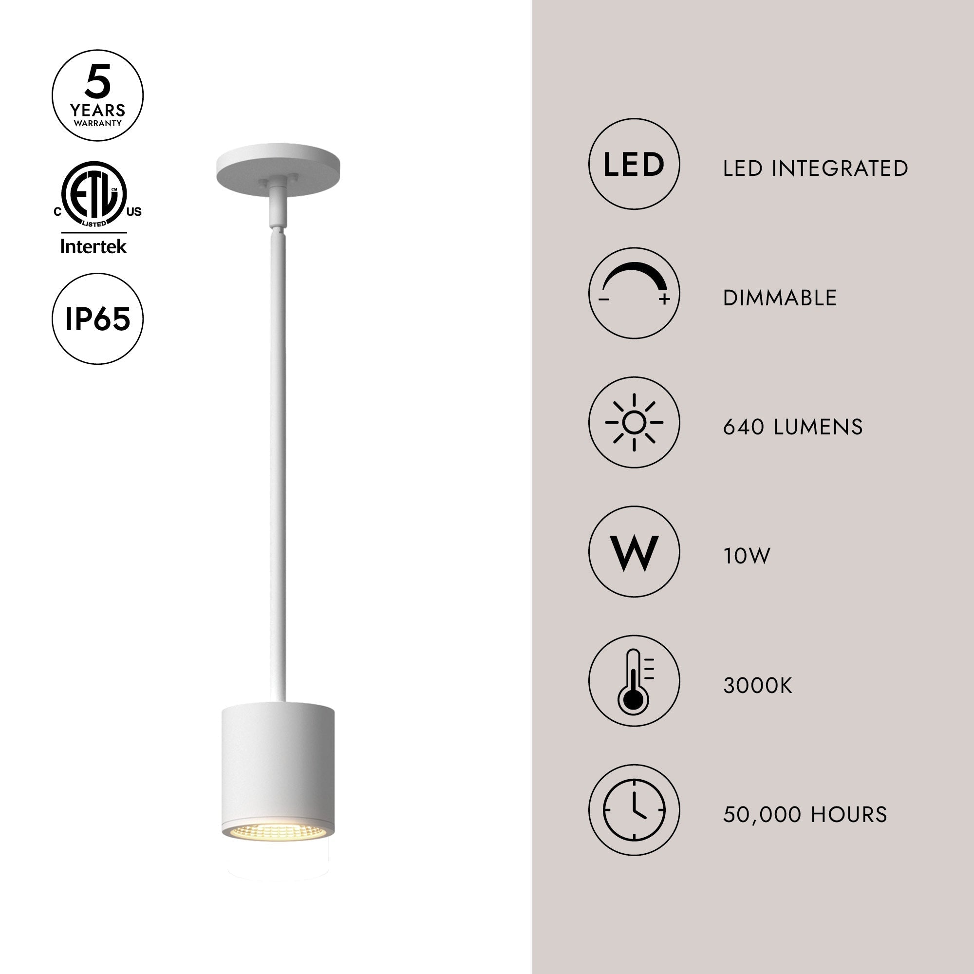 Nordic 3-in (3-in Dia.) Exterior Pendant