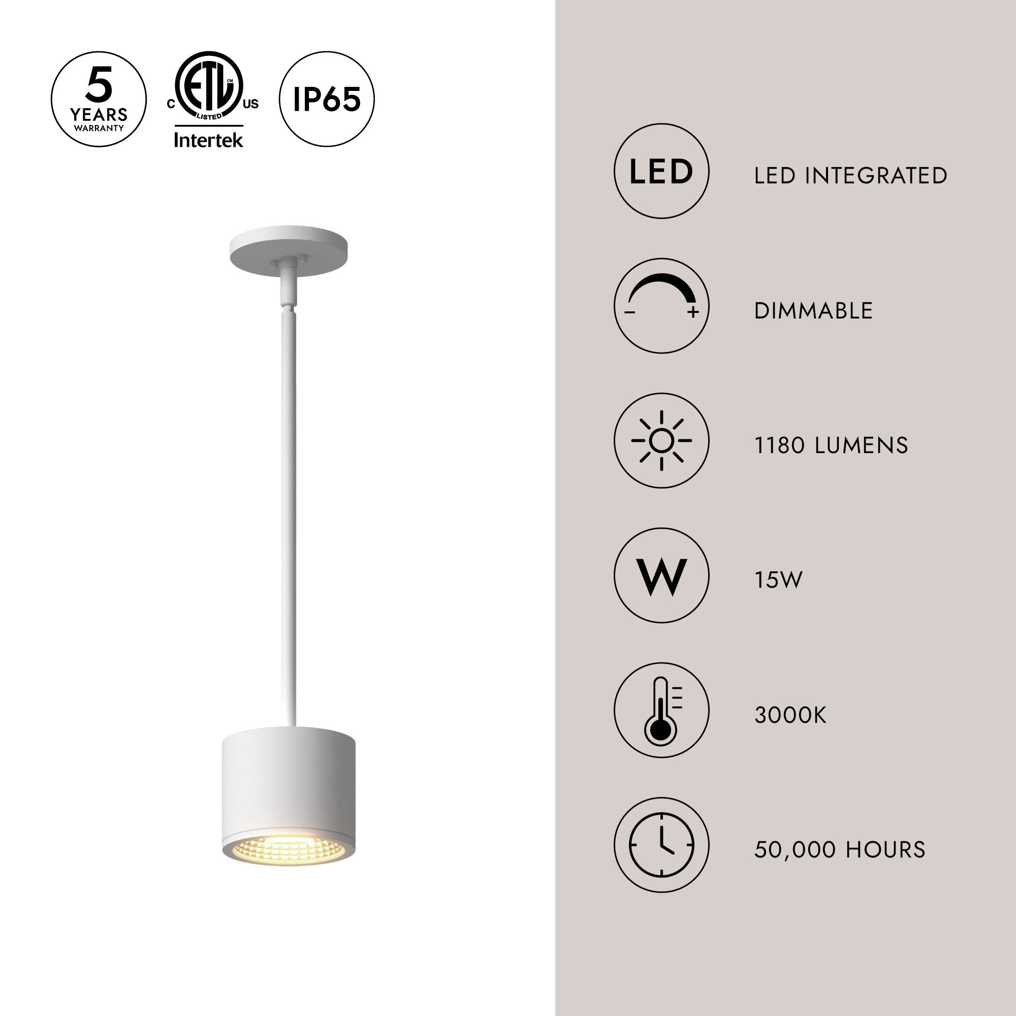 Nordic 4-in (5-in Dia.) Exterior Pendant