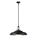 Palmetto 20-in Pendant — Urban Bronze/Glossy Opal