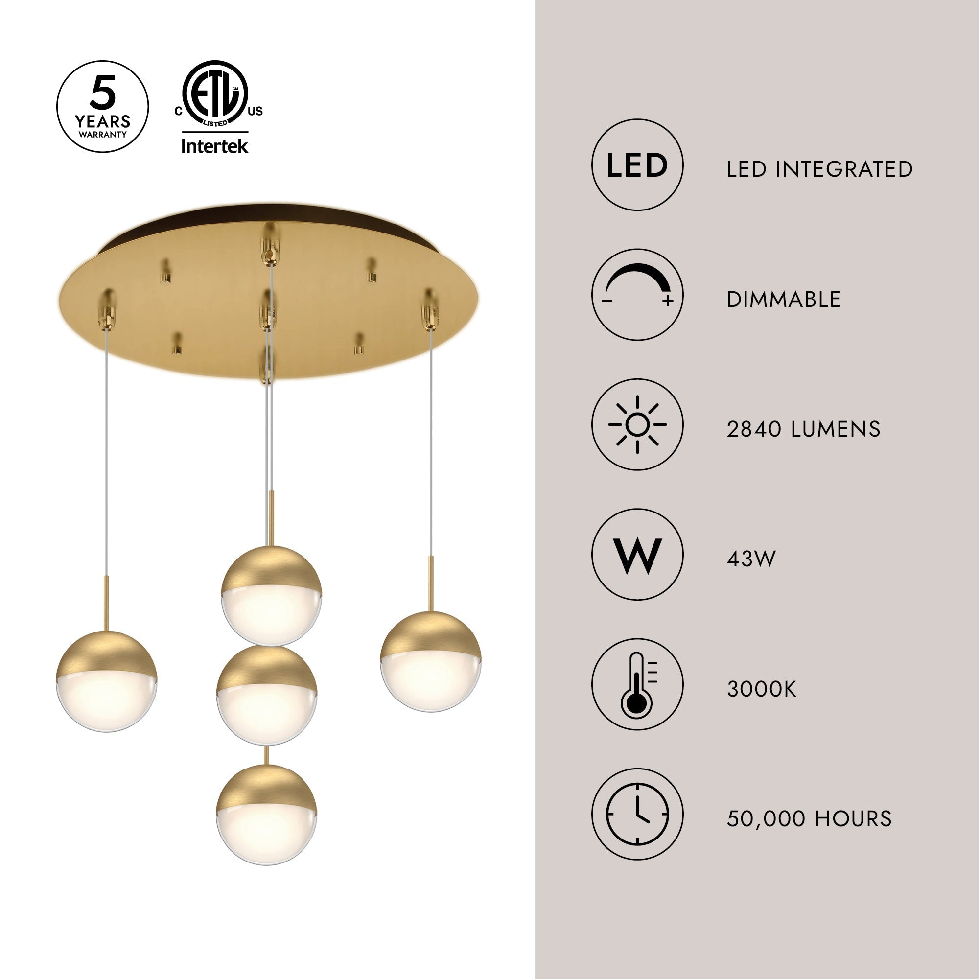 Pluto 4-in 5 Head Multi Pendant