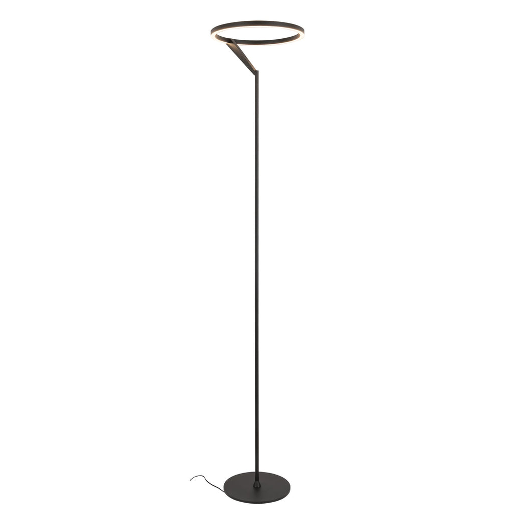 Roda 66-in Floor Lamp — Black