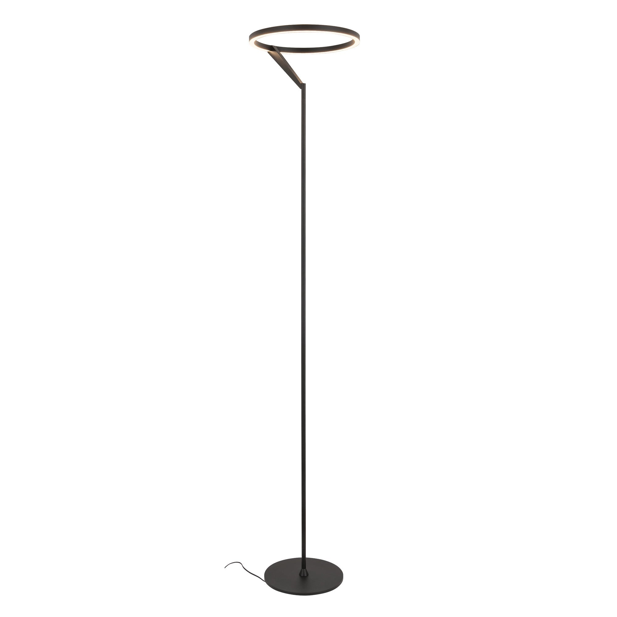 Roda 66-in Floor Lamp — Black