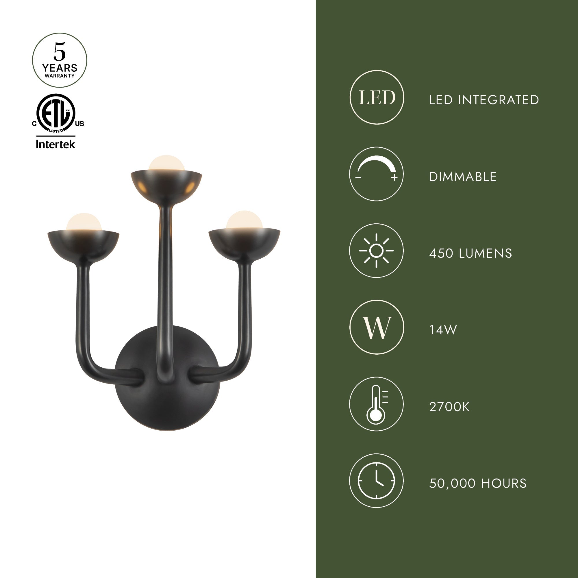 Spade 11-in Wall/Vanity Light