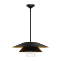 Tetsu 20-in Pendant — Matte Black/Clear Glass