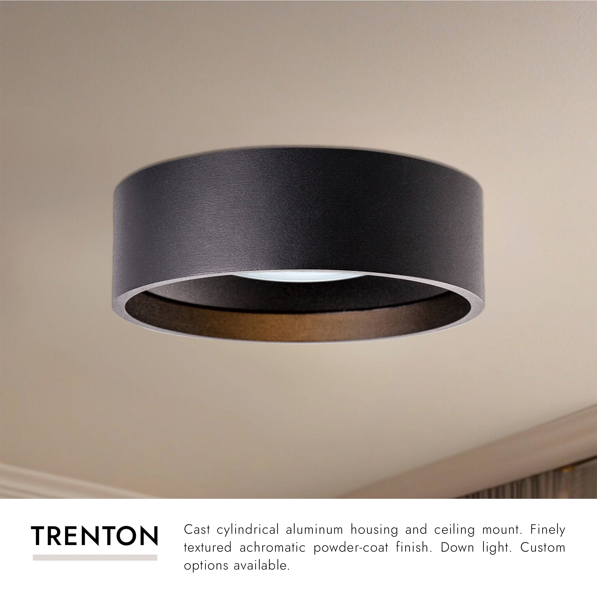 Trenton 5-in Exterior Ceiling
