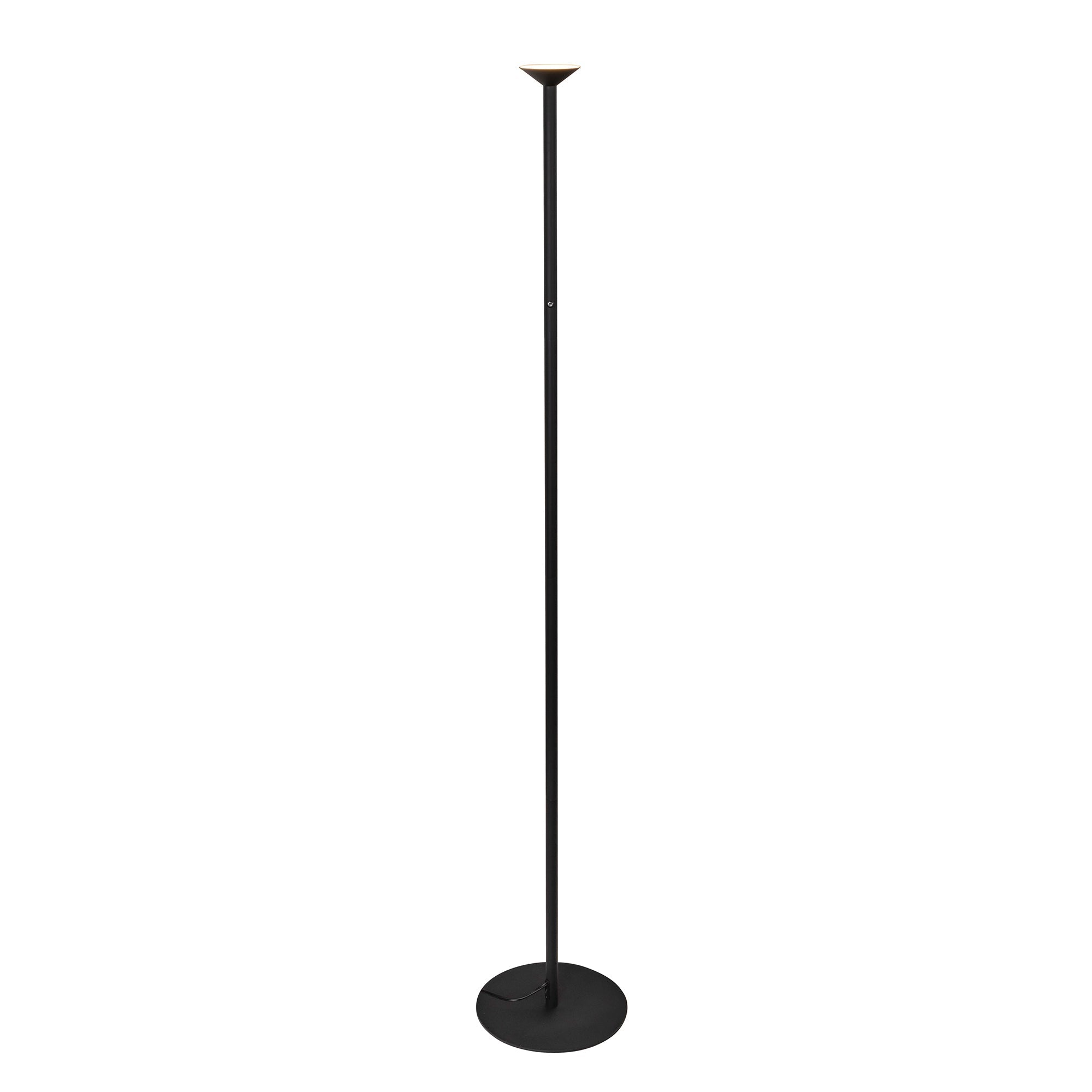 Valor 68-in Floor Lamp