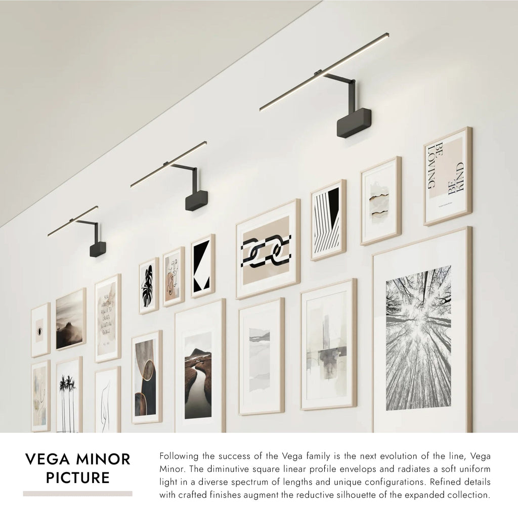 Vega Minor Picture 34-in Wall/Picture Light