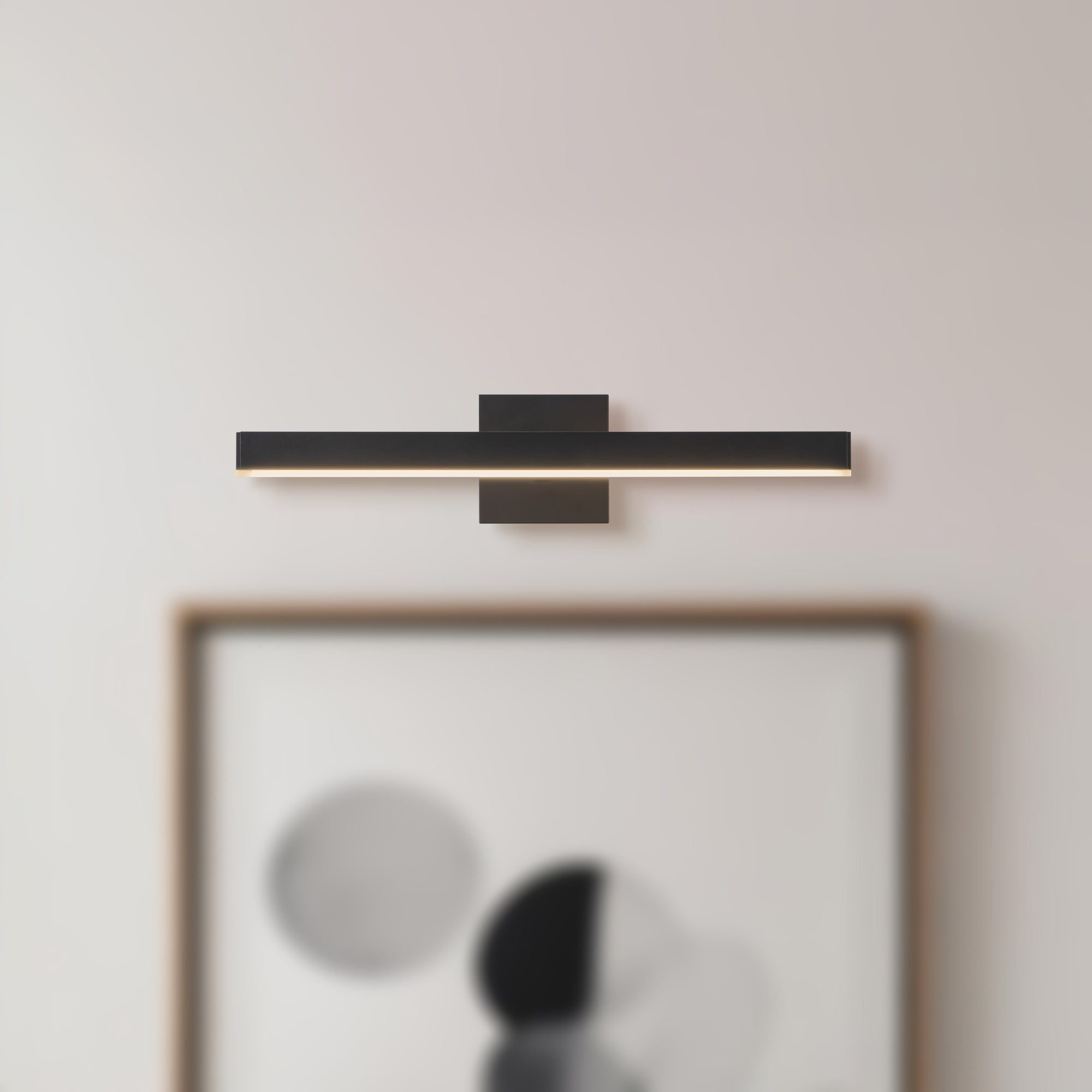 Vega Picture 19-in Wall/Picture Light