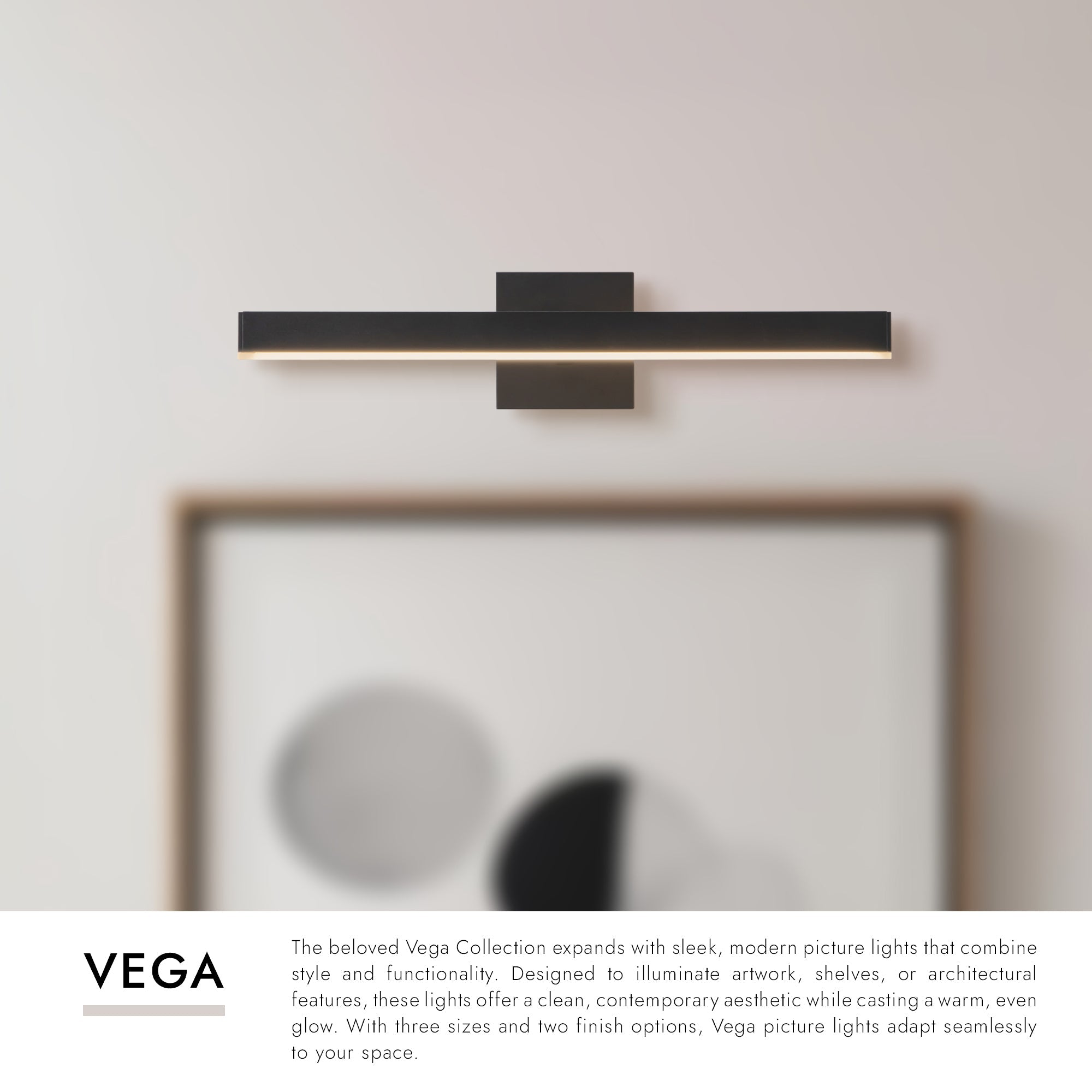 Vega Picture 19-in Wall/Picture Light