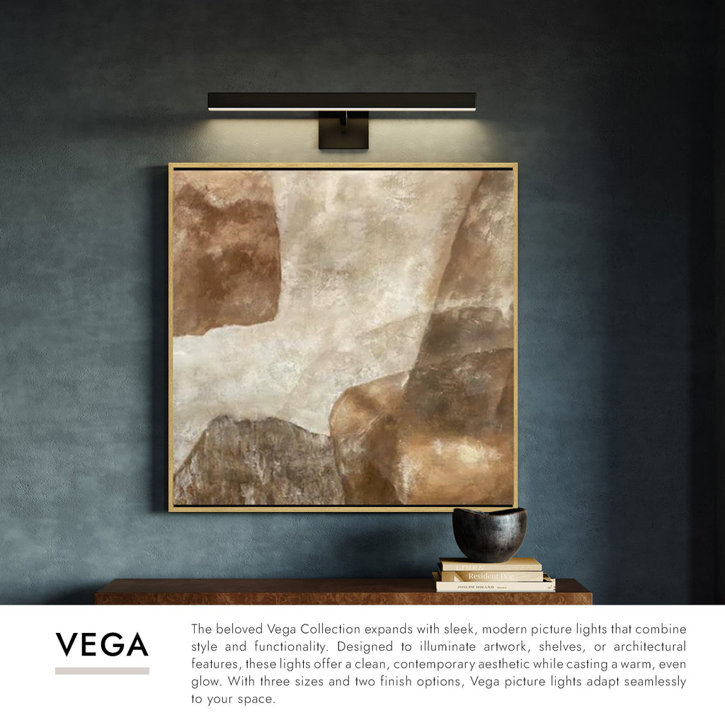 Vega Picture 23-in Wall/Picture Light