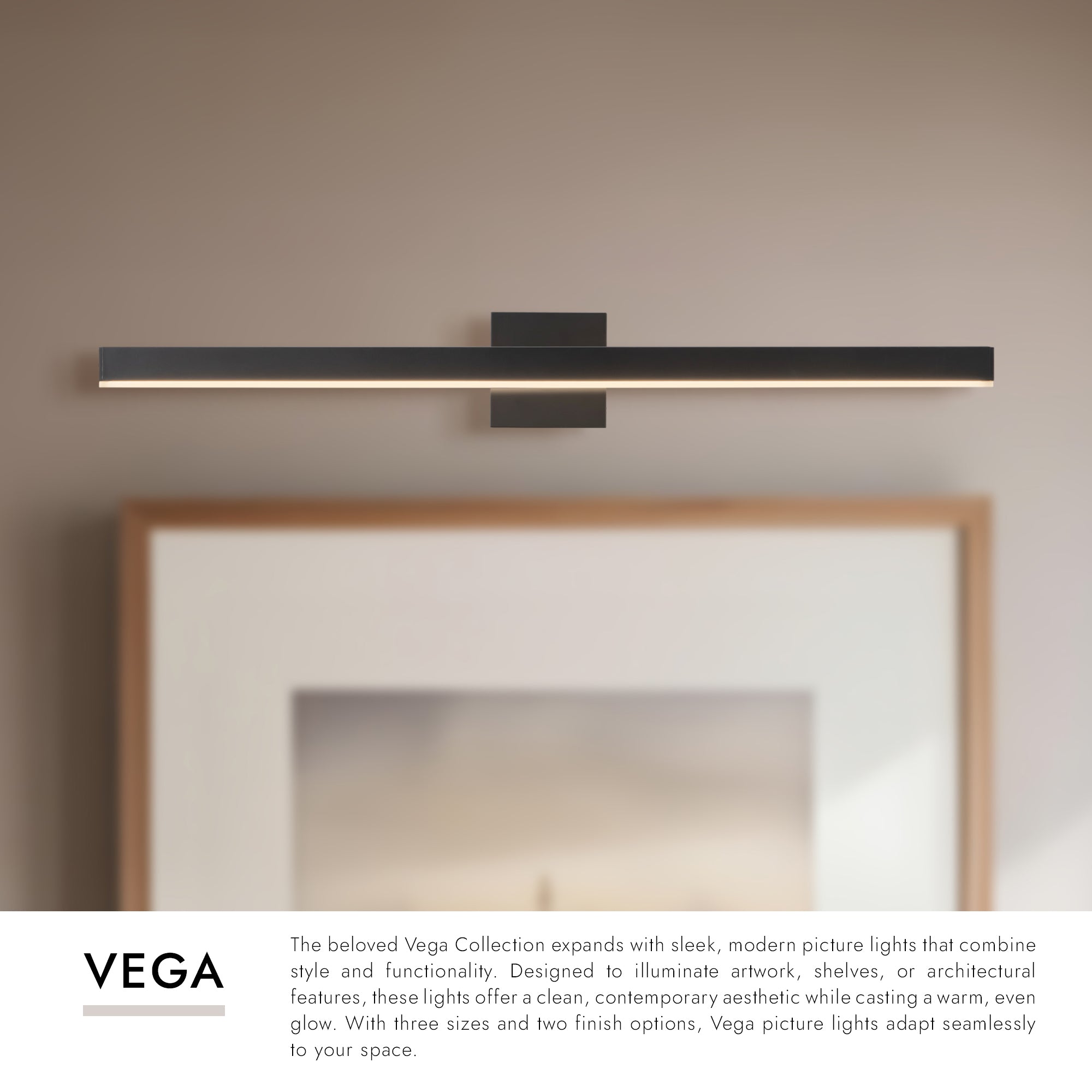 Vega Picture 31-in Wall/Picture Light